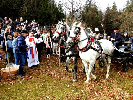 Konje je blagoslovil cerkljanski župnijski upravitelj Martin Leban